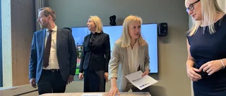 Alliansens styre hotas – när SD sätter ner foten
