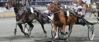 Storvinst på Bodentravet – vann 1,5 miljoner