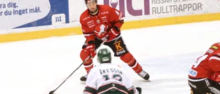 Hästens smäll – fick en puck i huvudet på uppvärmningen
