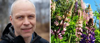 Medarbetarnas besvikelse – anslag minskar med 30 miljoner