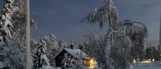 Läsarbilden                   