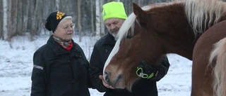 Norrbottenssuccé på Umåker – V75-dubbel till Salmela – Hanna tränarchampion – Sandraseger med 12-årige V75-debutanten