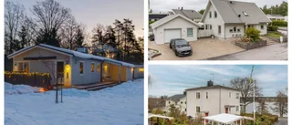 Utsikt mot Spårö båk drog många visningar