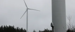 Kritiserad vindkraftspark norr om Byske får stöd