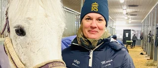 Skenande priser och ströbrist slår hårt mot ridskolorna
