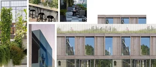 Idas vision – stor takterrass vid Stora Torget