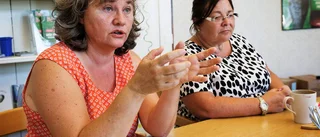 MP i Norrbottens krav "Byt ut Romson och Fridolin"