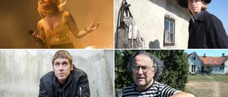 HELA LISTAN: Gotlänningarna som kan vinna en grammis