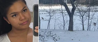 Hennes mamma skulle ut och gå – då kom vargarna