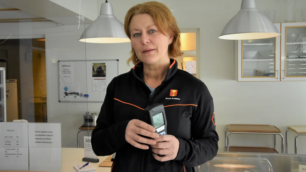 "De allra flesta gör verkligen sitt bästa", säger Ivanka Stenman om verksamheterna hon besöker i sitt jobb.