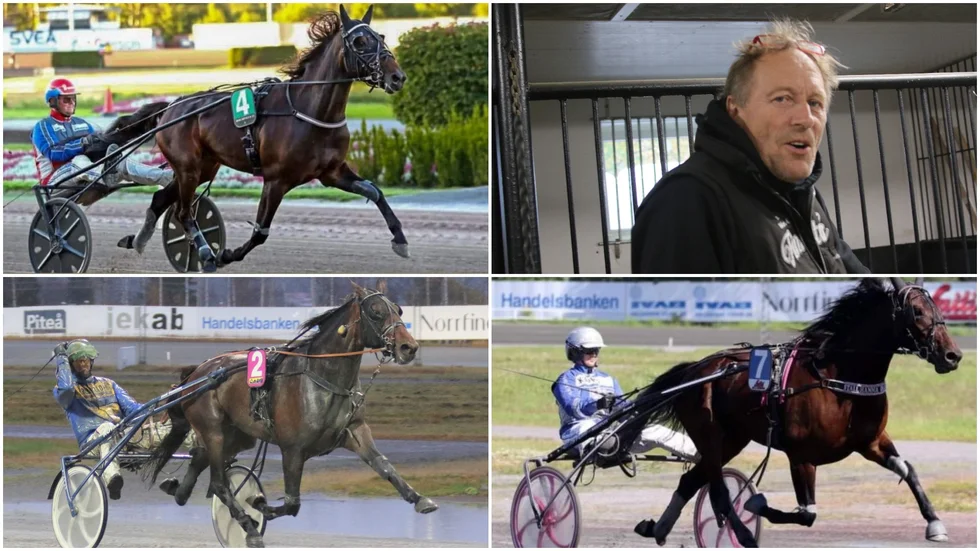 Fyra ekipage från Norr och Västerbotten startar i finalen i Ponsse Cup i Uleåborg, lördag med hela 175 000 kronor i förstapris. Burn Notice (Roger Nilsson), Ove A Lindqvist kör Olea Håleryd. Macho Man (Christian Månsson) och Victoriasbelfavouer (Hanna Olofsson - på bilden med Jenny Engfors i sulkyn). 