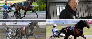 Christian Månsson vill bygga staket i Uleåborg: "Jag hoppas och tror att Macho Man klarar brodden"