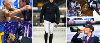 Jerringprisnominerade Henrik von Eckermann om succéåret 2022: "Nu blir det svårare och svårare att toppa det" 