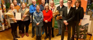 Så hyllades årets pristagare i fullmäktige