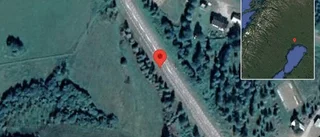 Renar på vägen på väg 744