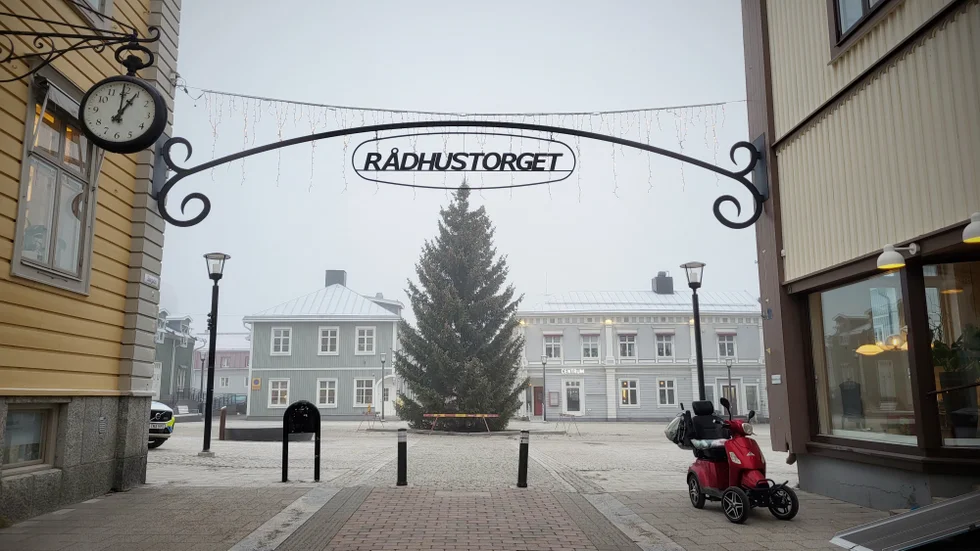 "Det är kul att så många engagerar sig i stadens torggran", säger Ronny Nyström, enhetschef på park.