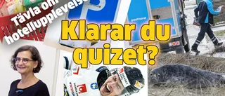 Minns du ”bastumålet”? Sälen? Fiaskocupen? Vinn hotellupplevelse!