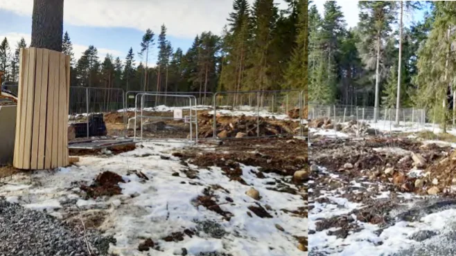 Bild som togs vid inspektionen. Endast en tall var kvar, medan två tallar och en gran hade fällts utan lov. I gropen till höger ska bodarna stå. Längre bort bakom galler finns byggområdet. 