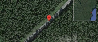 Nedfallna träd påverkar trafiken på väg 827