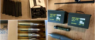 Tidigare officer döms för vapenbrott
