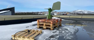 Nordligaste pollenfällan – på stadshustaket i Kiruna