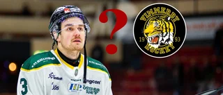 Förre VH-backen om en återkomst: "Klart det är ett alternativ"