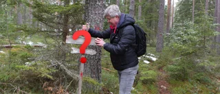 Förslaget: Det ska Upplands högsta berg heta