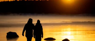 Frihet är det bästa ting… Men vilken frihet?