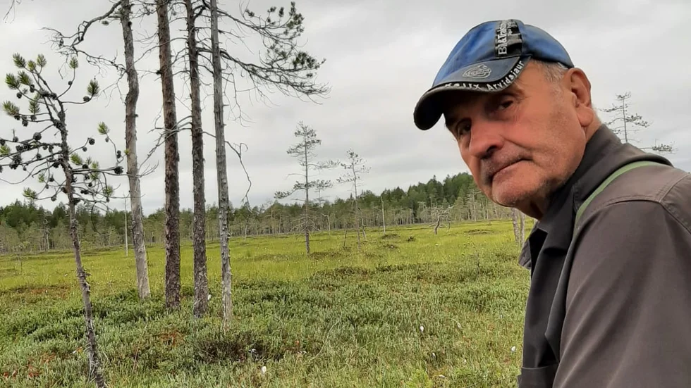 Staffan Bergman, vid en myr