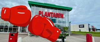 Plantagen lämnar – ordkrig om varför: "Tråkigt"