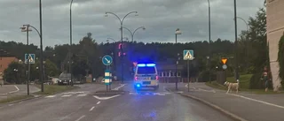 Larm om bråk i lägenhet – påverkad man togs omhand