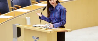 Regeringen lever inte upp till några klimatmål