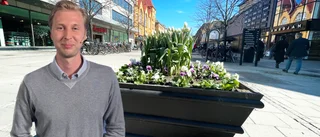 Luleå kan få varmast i landet ☀️ SMHI: "Det börjar spricka upp"