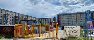 Expert saknar fakta från Frense: "Mycket som inte verkar stämma"