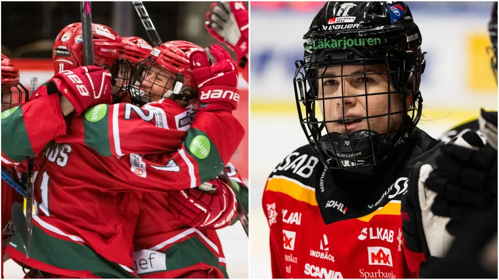 Luleå Hockey/MSSK ställs mot Modo i SM-finalen som börjar på fredag.