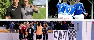 Ljungsbros glädjesiffror ✓ Ska bygga till ✓ Profiler i styrelsen