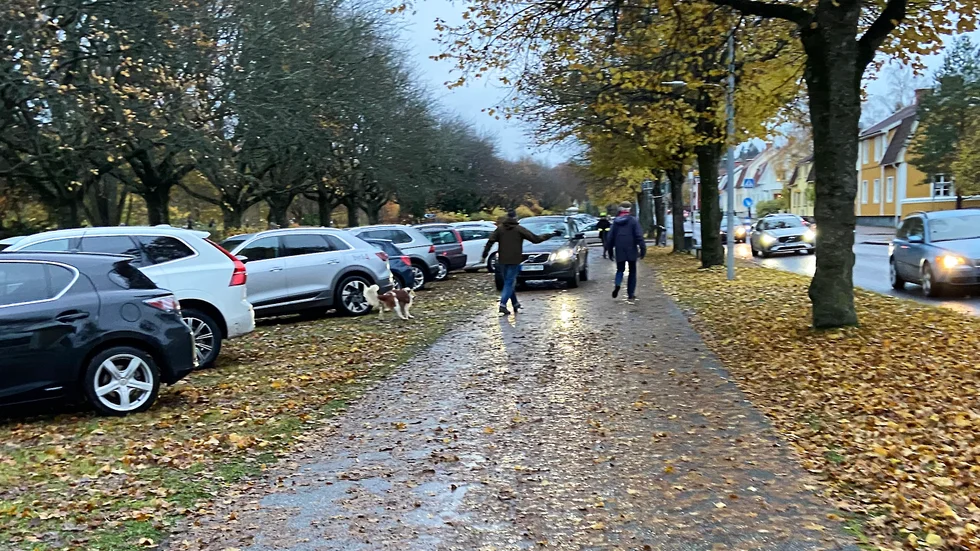 Cykelbanan och gräsmattorna vid Gamla kyrkogården blir ett kaos av parkerande bilar på allhelgonadagen när parkeringsvakterna är lediga.