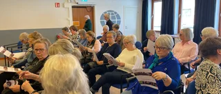 Årsmöte Visions seniorer      