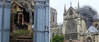 Våran "Gubbe" – och Notre Dame