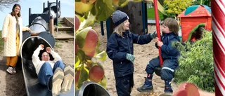 Ny lekplats för miljoner – blir godisland