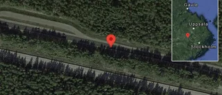Varning för djur på vägen på E18