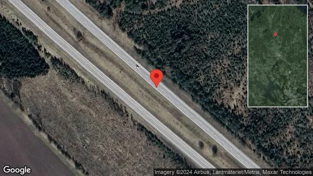 Rådjur på fel sida av viltstängslet på E4