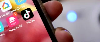 Tiktok knycker barndom bit för bit
