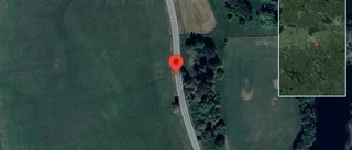 Singelolycka på väg 687