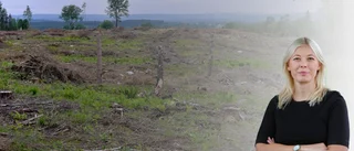 Skogen är inte bara en plats att vila ögonen