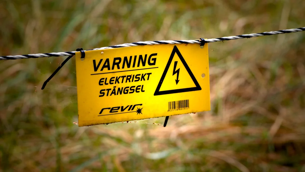 Boendet har delvis omgärdats av ett elstängsel. När och varför det satts upp är oklart, men kommunens utredning menar att det kunnat utgöra en fara för de boende. Bilden är tagen i ett annat sammanhang.