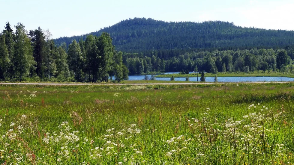 Vy från Orrbyn.
