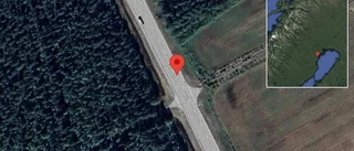 Trafikverket varnar för älgar på vägen på E4