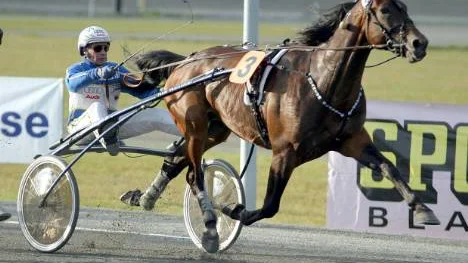 Quantum Classic har vinstchans trots ett trist startspår. På bilden speedar han för fullt för Jorma Kontio. I morgon kör Torbjörn Jansson.