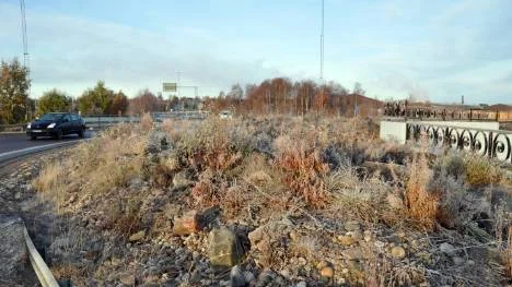 Det är ingen vacker syn som möter bilisterna när de närmar sig Kråkfällan. Gräs, ljung och buskar växer vilt mellan stenhögarna.FOTO: K-L Sundqvist